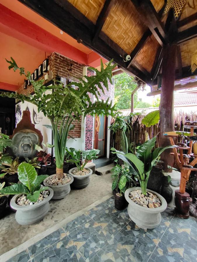 Green Travelodge Bukit Lawang Dış mekan fotoğraf
