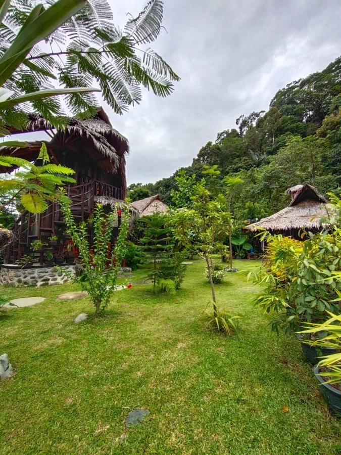Green Travelodge Bukit Lawang Dış mekan fotoğraf